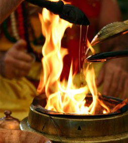 Online Nadi Astrology
